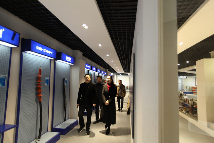 乐清市副市长陈微燕一行莅临pp电子电气集团考察调研