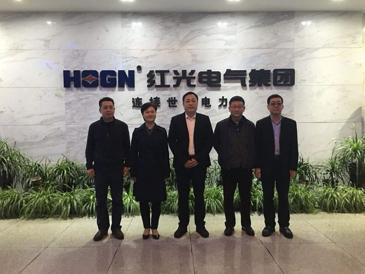 温州市质量手艺监视局局长朱云华一行莅临pp电子考察