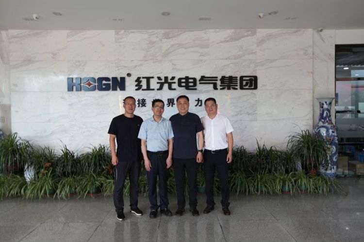 乐清市市场监视局刘勇局长一行莅临pp电子电气集团调研