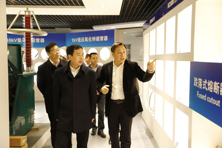 温州市委常委、组织部长马永良莅临pp电子电气集团调研指导